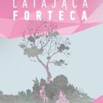 Latająca forteca – okładka
