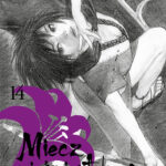 Miecz Nieśmiertelnego – tom 14