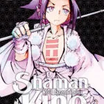 Shaman King – tom 6